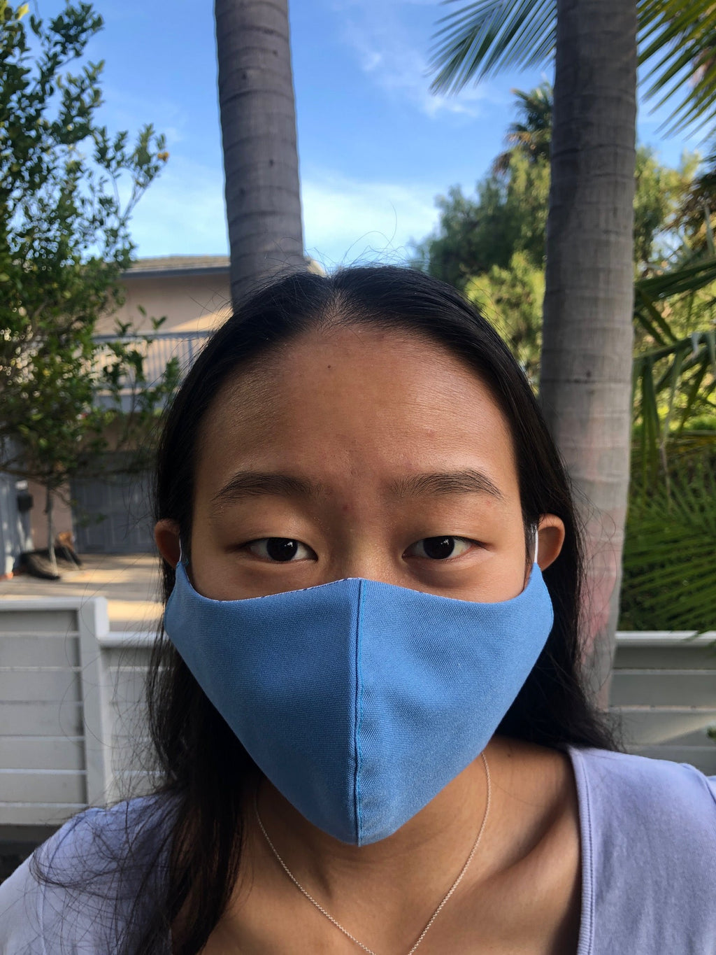 Made in LA Reversible Face Mask