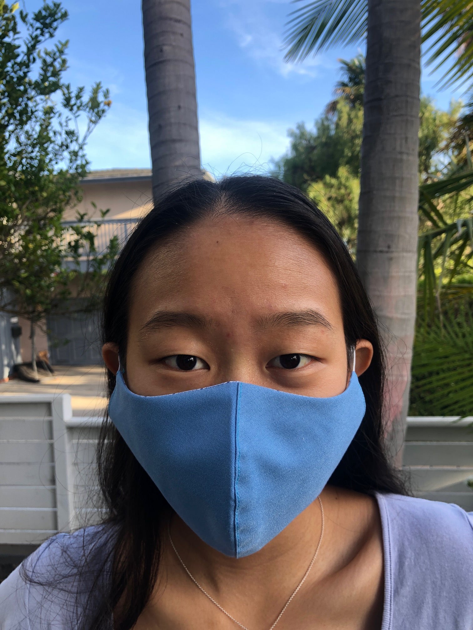 Made in LA Reversible Face Mask